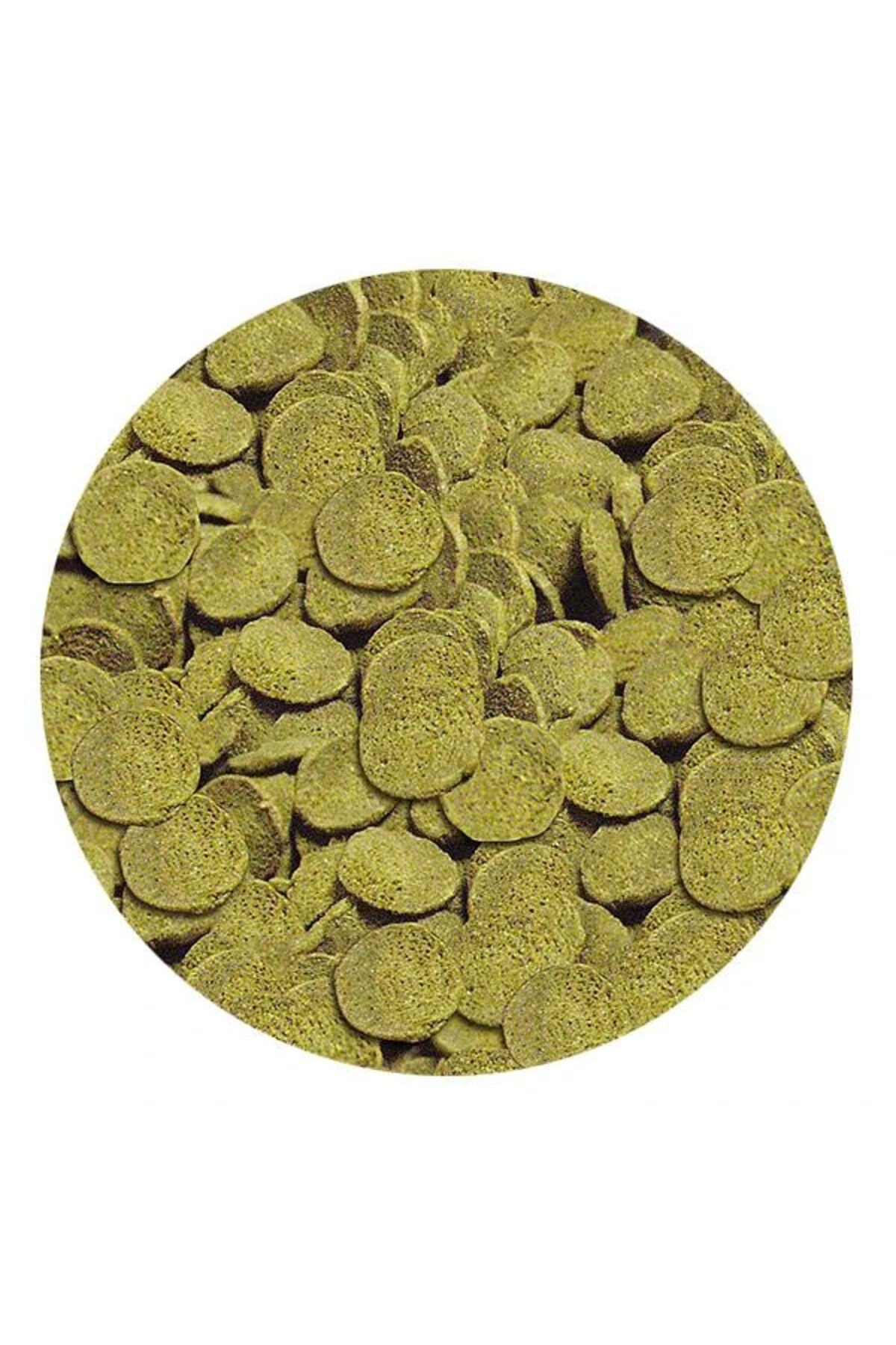 Sera Wels-Chips Nature 100gr - Kovadan Bölme