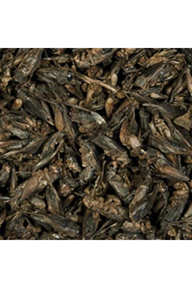 Tropical Crickets Kurutulmuş Balık Yemi 250ml 25gr