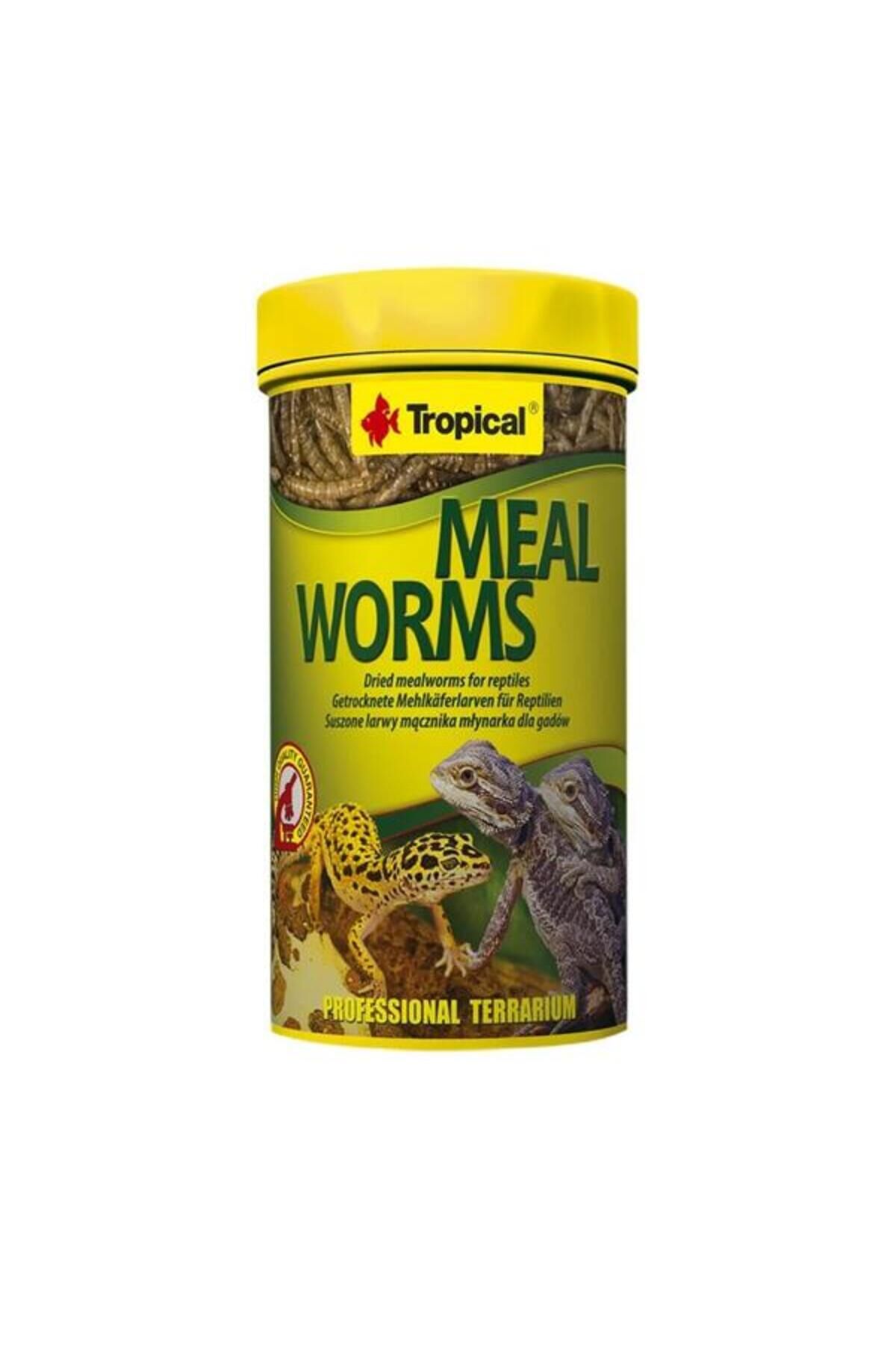 Tropical Meal Worms Un Kurdu 250ml 30 gr