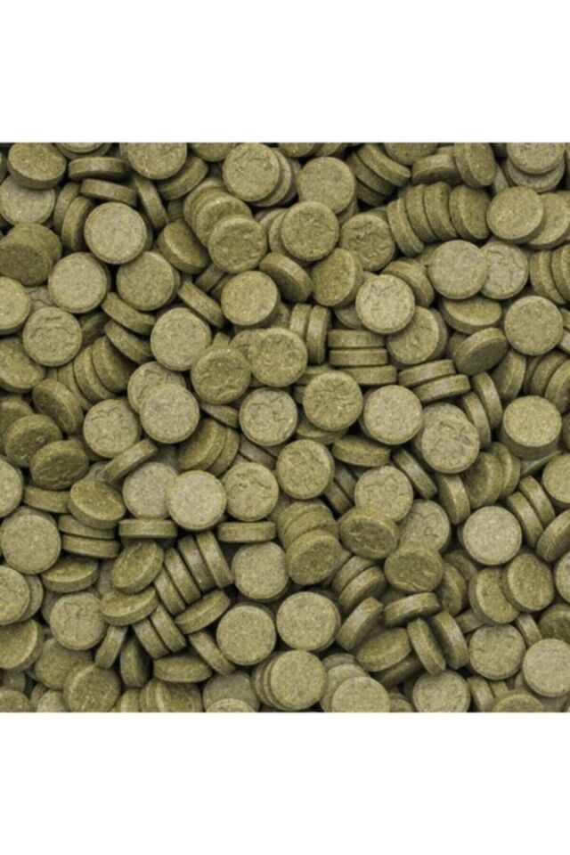 100 Adet 3-Algea Tablet Balık Yemi