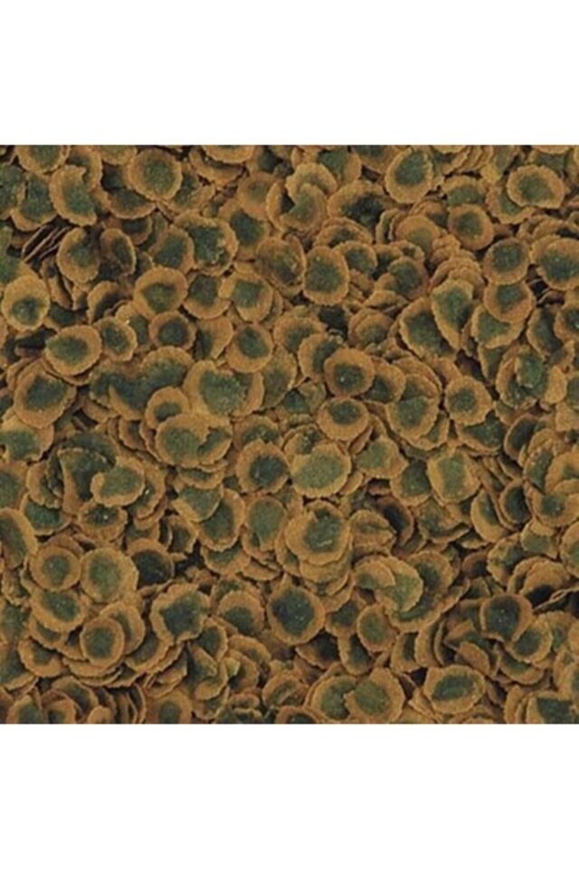 Pro Algae Crisps Bitkisel Vegetable Balık Yemi 50gr