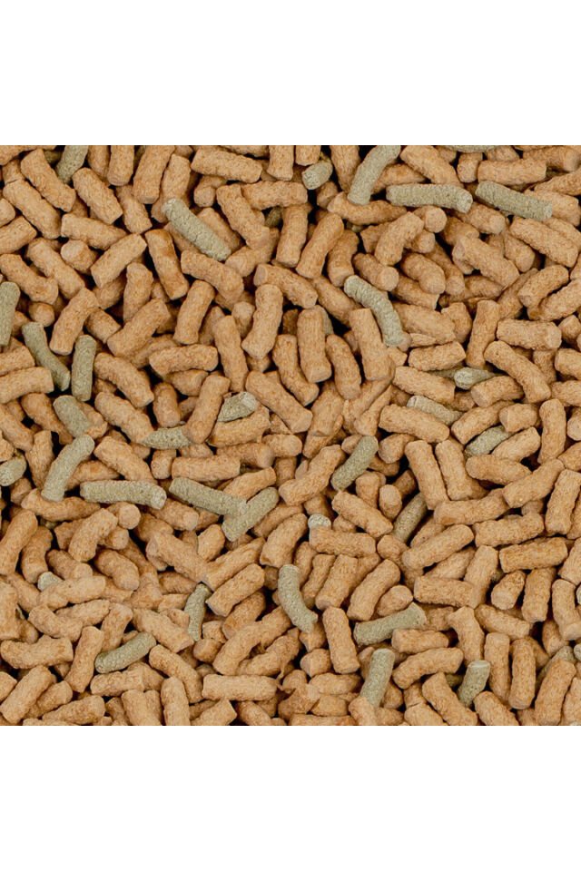 Sera Raffy P Sticks Nature 50 g Kaplumbağa Yemi