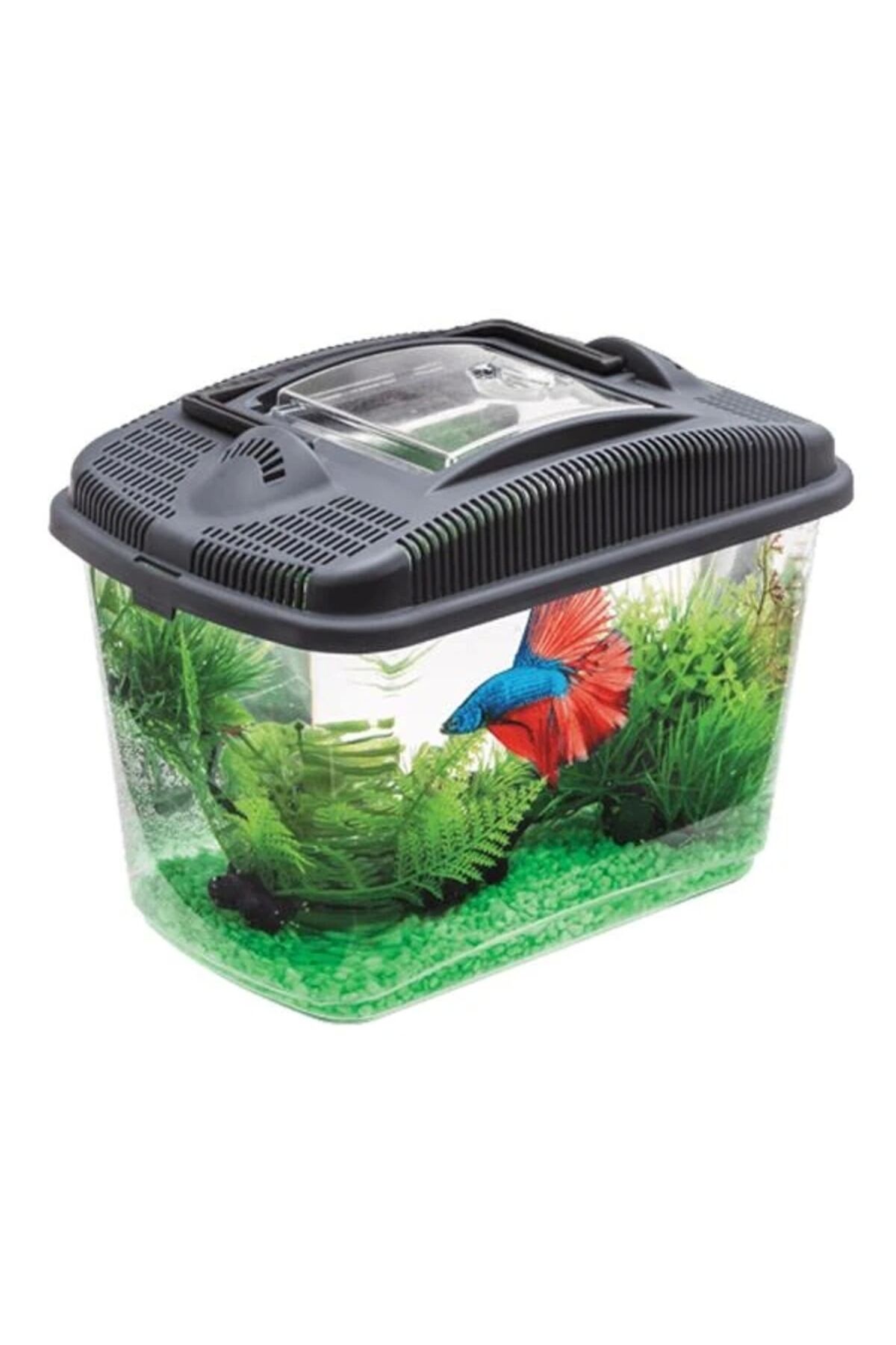Aquel Betta Kit 3 Litre