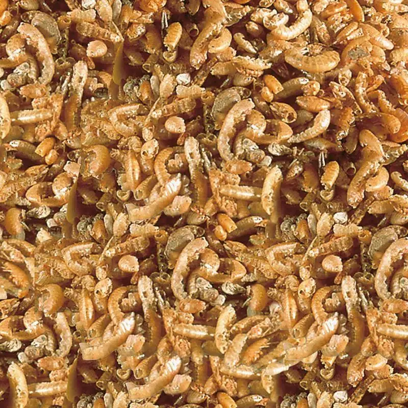 Sera Raffy I Gammarus Kovadan Bölme 20 Gr