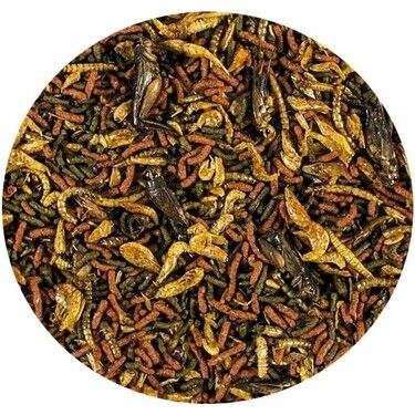 Tropical Soft Line Carnivore 20 gr