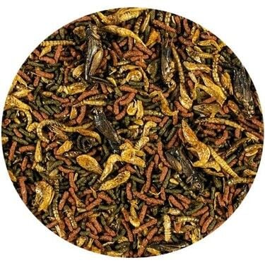 Tropical Soft Line Carnivore 20 gr